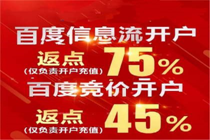 SEM推广策略的五大关键点及成功案例